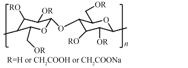 graphic/j.cnki.cjrm.XY25100011-I007.jpg